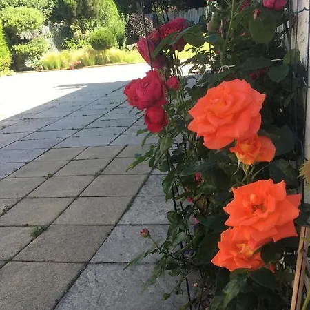 Klidne A Utulne Stary Liskovec * Brno